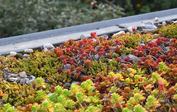 the cost of Upperthorpe green roof installation